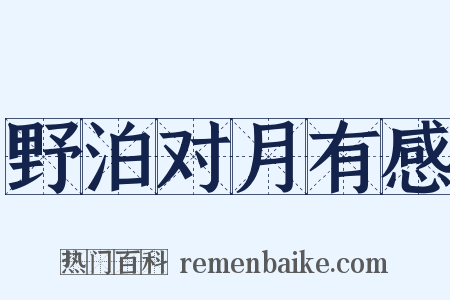 野泊对月有感是什么意思的图片